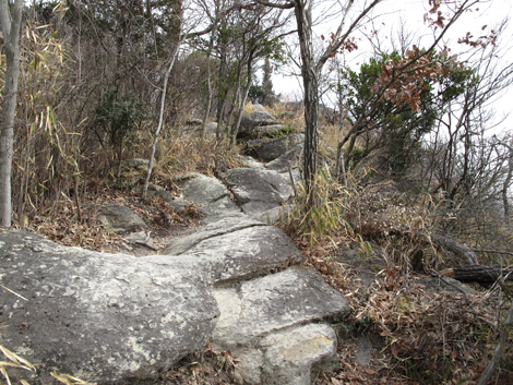 20140125hike (194)